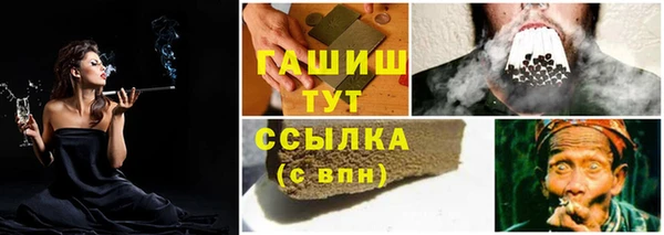 СК Белокуриха