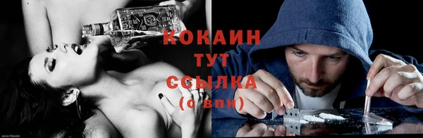 СК Белокуриха