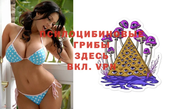 СК Белокуриха