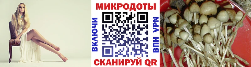 Галлюциногенные грибы прущие грибы  Тосно 